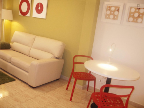 Amazing 1-bedroom apartment near Universidad de Salamanca  - Gallery -  5