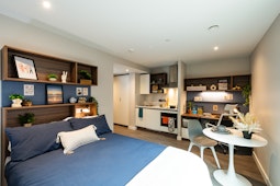 Studio Gold - Nelson Place, Belfast - Gallery - 1