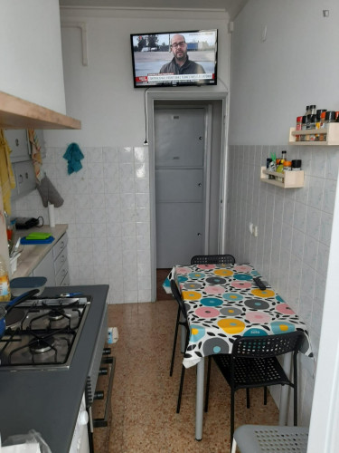 Amazing single room in Benfica, near Colombo and metro station - Gallery - 6