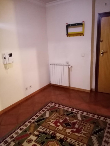 Welcoming 2-bedroom apartment near the centre of Bragança