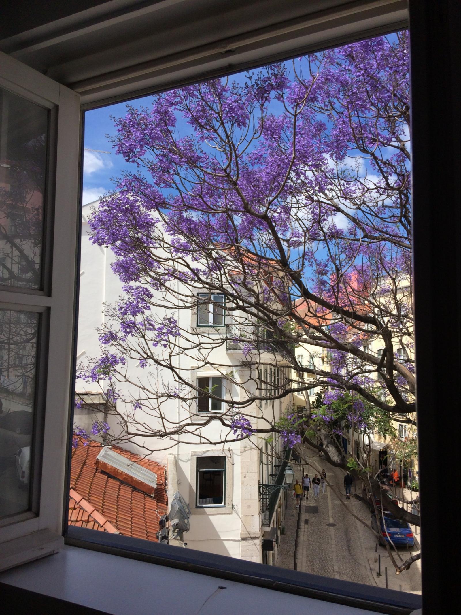 Charming Flat In The Heart Of Lisbon's Historic Centre - 1
