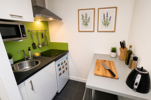 Tudor Studios - Gallery - 15