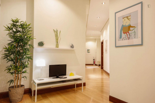 Lovely double bedroom in a 4-bedroom apartment near Abando Metro