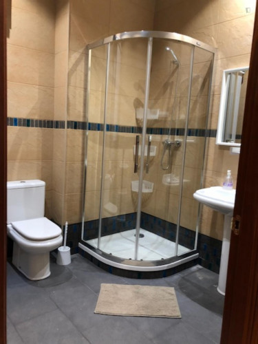 Lovely double bedroom in a 4-bedroom apartment near Abando Metro