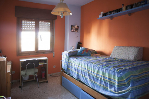 Vibrant single bedroom in a complex in Montequinto