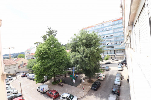 Entire 2-bedroom apartment in Lisbon - No Sharing - Gallery - 14