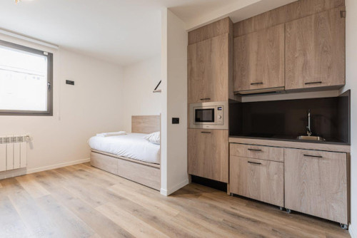 Bed in a twin bedroom with kitchen near Doctor Morales Park - Gallery - 29
