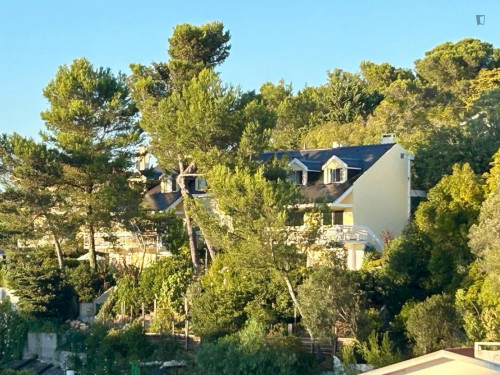 Shining 1 Bedroom apartment close to Praia do Tamariz - Gallery - 25