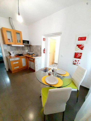 Nice 1-bedroom flat with outdoor patios