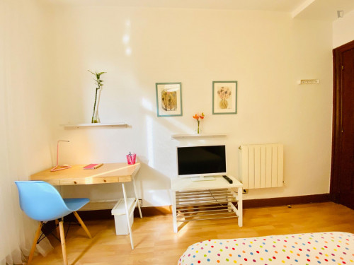 Beautiful double bedroom in Bilbao - Gallery - 17
