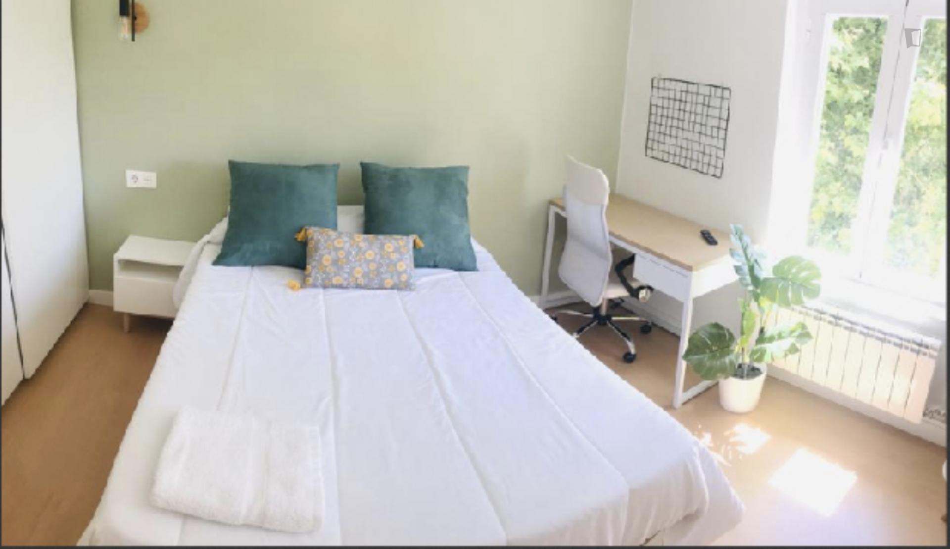 Nice double bedroom near Salamanca Official College of Physicians