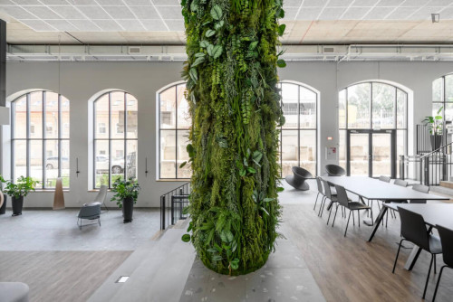 Studio Room in Coliving Space