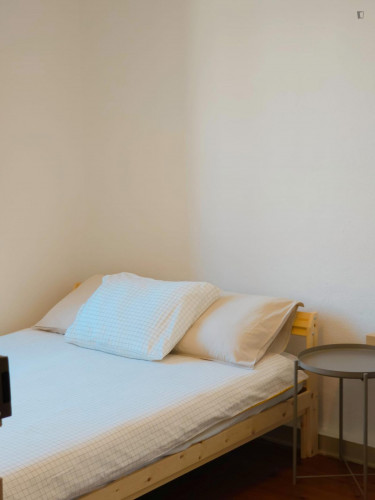 Great double bedroom in a 4-bedroom flat