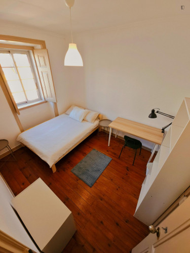 Great double bedroom in a 4-bedroom flat