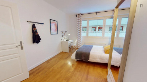 Cosy double bedroom near Lyon-Perrache Gare Routière train station