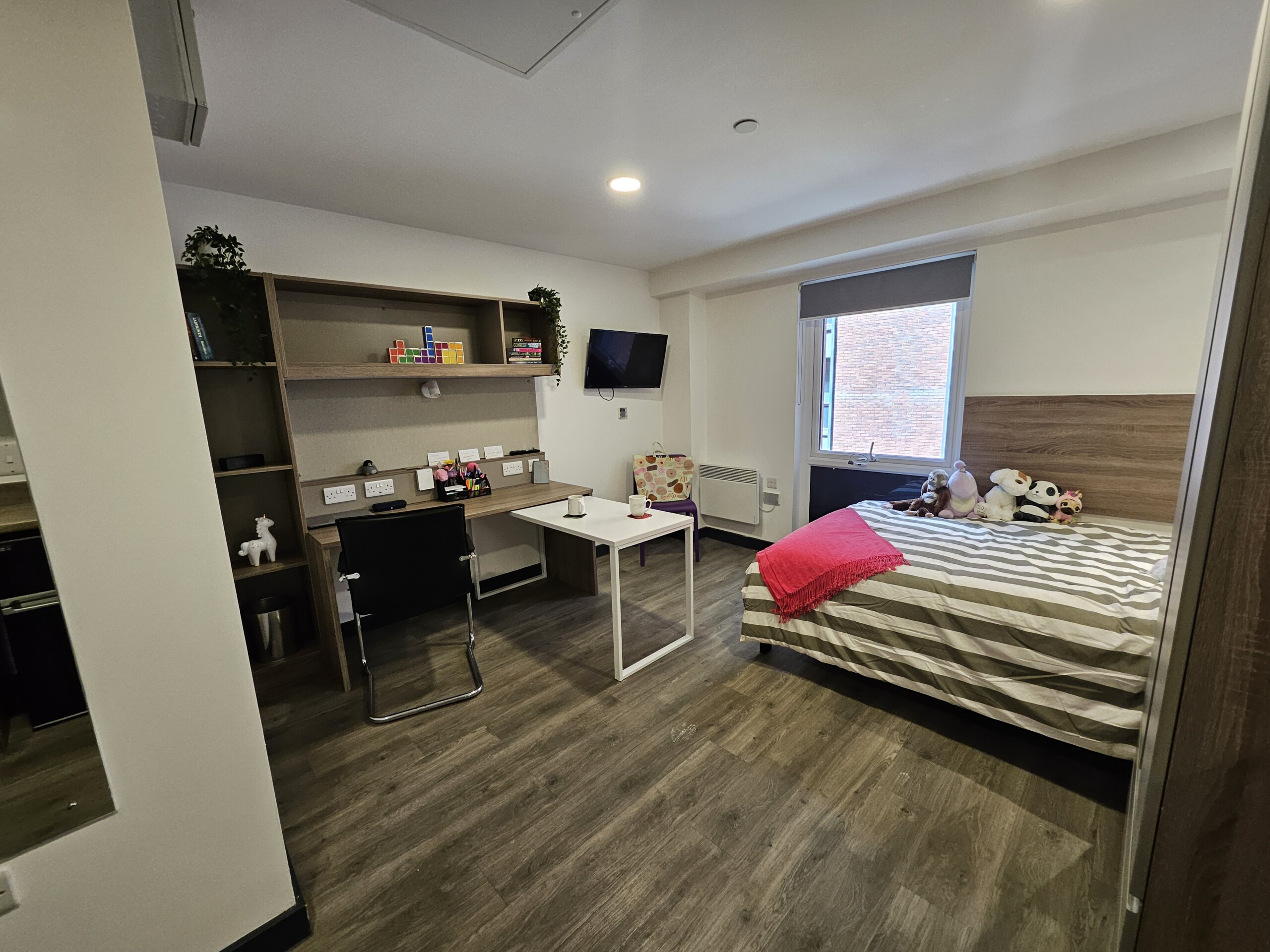  Classic Studio  -  Coppergate  - Gallery -  1