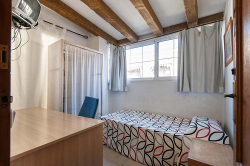 Fresh and welcoming single bedroom en Alicante - Gallery - 14