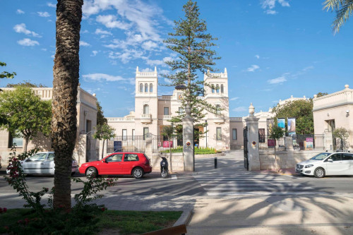 Fresh and welcoming single bedroom en Alicante - Gallery - 5