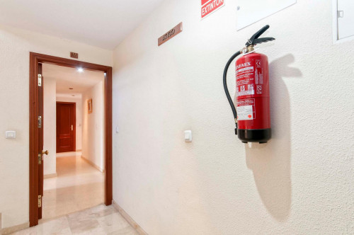 Fresh and welcoming single bedroom en Alicante - Gallery - 17
