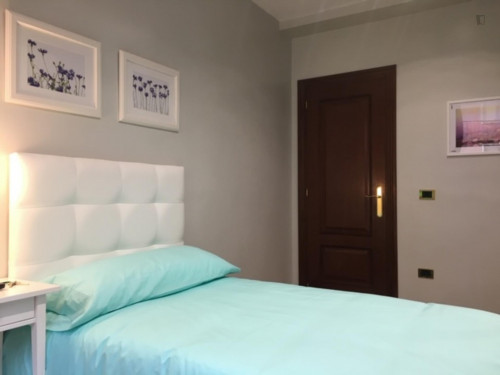 Nice single bedroom in a 5-bedroom apartment near Euskadi Plaza
