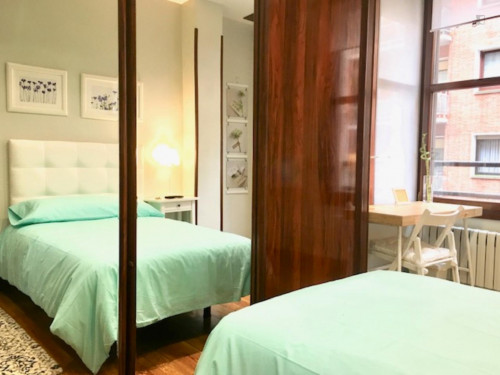 Nice single bedroom in a 5-bedroom apartment near Euskadi Plaza