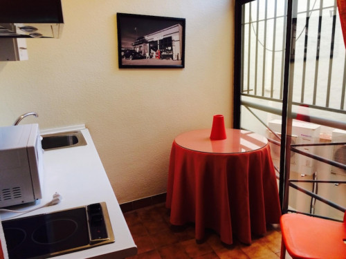 Sublime studio flat near the Faculdad de Derecho of the Univerisdad de Granada