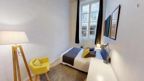 Attractive double bedroom near Guillotière Gabriel Péri metro 