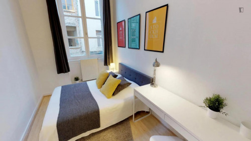 Attractive double bedroom near Guillotière Gabriel Péri metro 