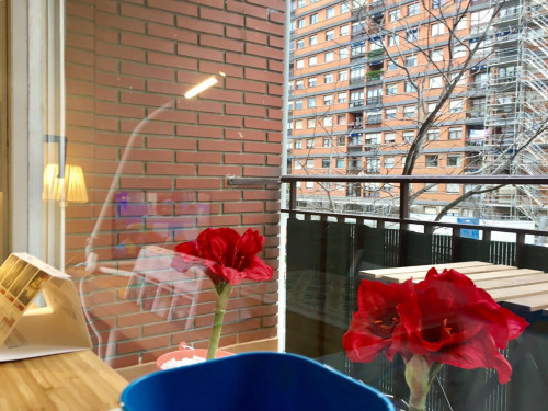 Nice single bedroom in a 7-bedroom apartment near Latorre General Plaza - Gallery - 34