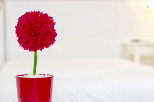 Nice single bedroom in a 7-bedroom apartment near Latorre General Plaza