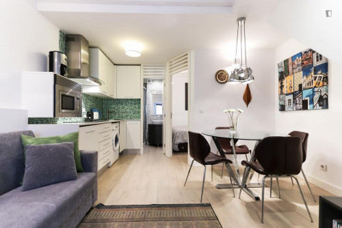 Luminous 1-bedroom flat next to Santos train station