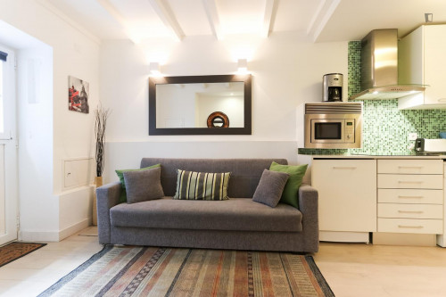 Luminous 1-bedroom flat next to Santos train station