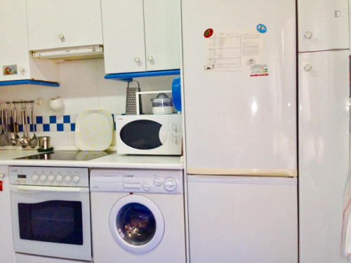 Wonderful double ensuite bedroom in a 4-bedroom apartment near Plaza de la Convivencia