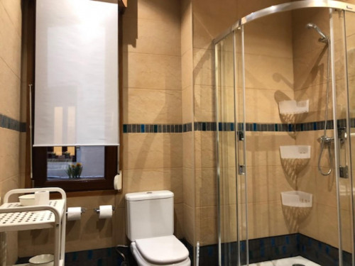 Amazing double bedroom in a 4-bedroom apartment near Abando Metro