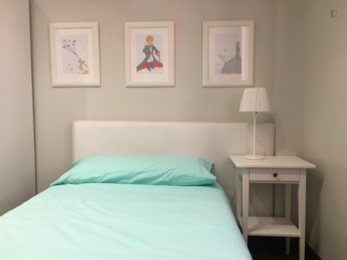 Beautiful single bedroom in a 5-bedroom apartment near Euskadi Plaza