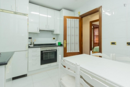 Beautiful single bedroom in a 5-bedroom apartment near Euskadi Plaza