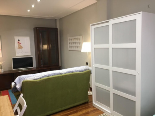 Beautiful single bedroom in a 5-bedroom apartment near Euskadi Plaza  - Gallery -  5