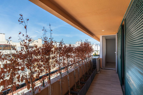 Delightful 1-bedroom apartment in Cascais - Gallery - 16