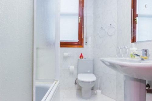 Lovely single bedroom in a 5-bedroom apartment near Euskadi Plaza  - Gallery -  5