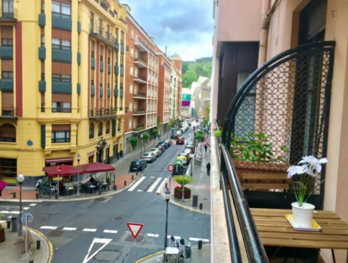 Lovely single bedroom in a 5-bedroom apartment near Euskadi Plaza