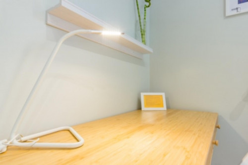 Lovely single bedroom in a 5-bedroom apartment near Euskadi Plaza