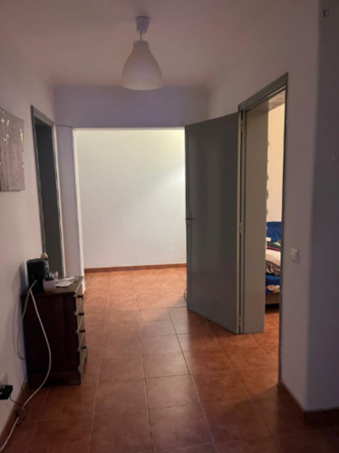 Nice Single Bedroom close to Escola Superior de Educação de Coimbra (ESEC) - Gallery - 10