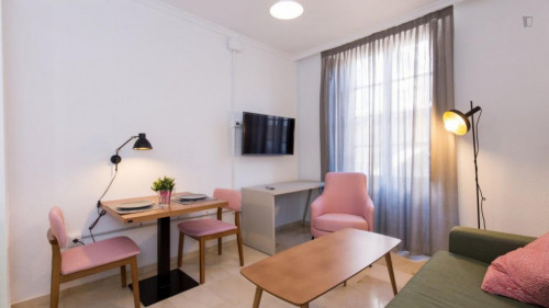 Beautiful 1-bedroom apartment not far from the Faculty of Sciences University of Granada - Gallery - 15