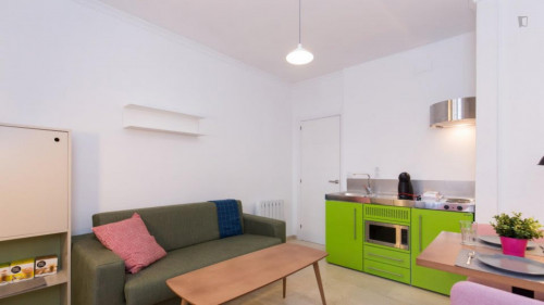 Beautiful 1-bedroom apartment not far from the Faculty of Sciences University of Granada - Gallery - 20