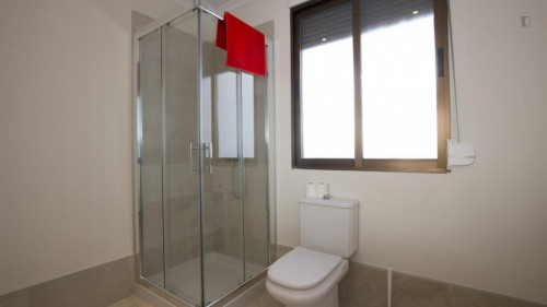 Beautiful 1-bedroom apartment not far from the Faculty of Sciences University of Granada - Gallery - 19