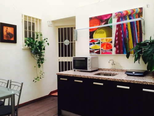 Neat studio flat next near Facultad de Derecho - Gallery - 9