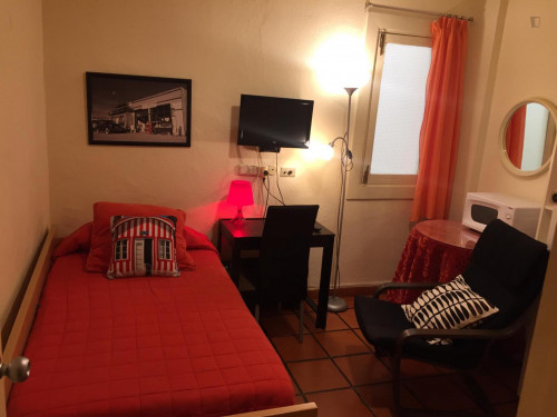 Neat studio flat next near Facultad de Derecho