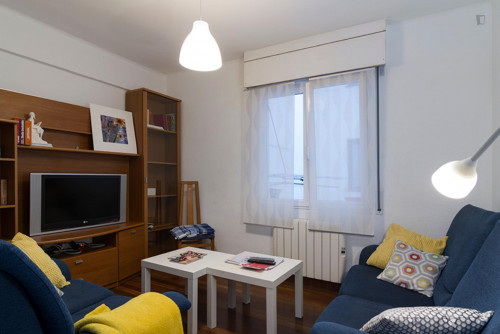 Super cool single bedroom in Santutxu - Gallery - 15