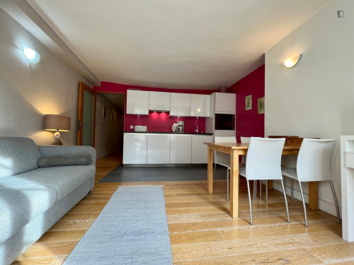 Lovely 1-bedroom apartment near the Tuileries Garden - Gallery - 25