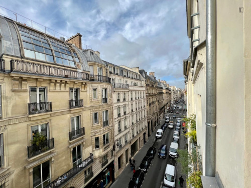 Lovely 1-bedroom apartment near the Tuileries Garden  - Gallery -  5
